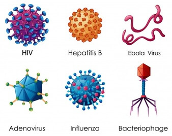 tipos de vírus
