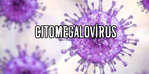 Citomegalovírus2