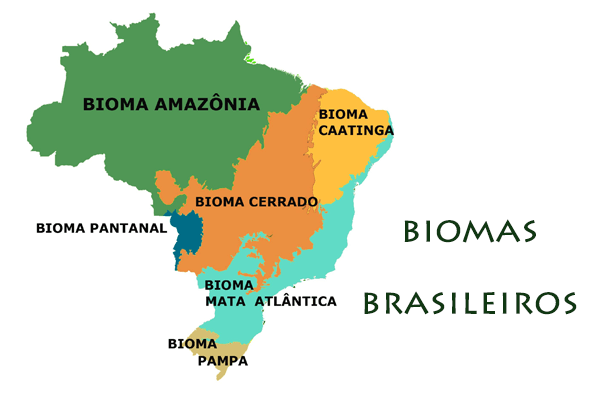Biomas brasileiros