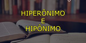 Hiperônimo e Hipônimo - O que são? Para que servem? (Imagem: Gestão Educacional - Lil_foot_/Pixabay)