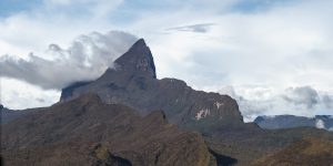 Parque Nacional do Pico da Neblina - Conheça o parque da montanha mais alta do Brasil (Imagem: Reprodução/Força Aérea Brasileira)