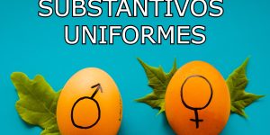 Substantivos Uniformes - Comum de dois gêneros, epicenos e sobrecomuns (Imagem: Gestão Educacional - Dainis Graveris/Unsplash)
