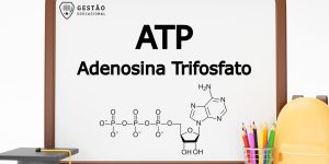ATP (Adenosina Trifosfato) - O que é? Qual sua função? (Imagem: Gestão Educacional - Mamewmy - FreePik.com)