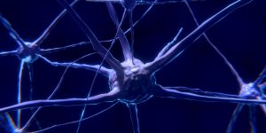Excitabilidade e Condutibilidade - Conheça estas propriedades fundamentais dos neurônios! (Imagem: Colin Behrens/Pixabay)