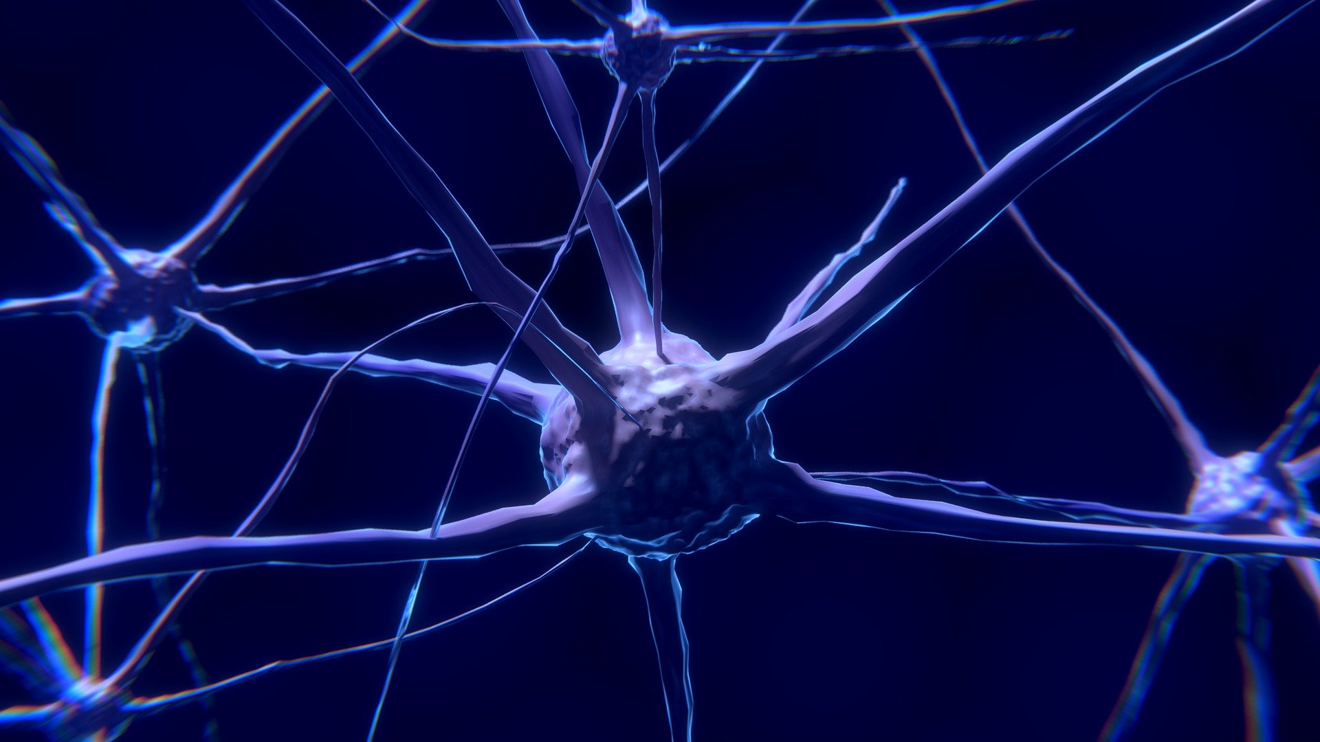 Excitabilidade e Condutibilidade - Conheça estas propriedades fundamentais dos neurônios! (Imagem: Colin Behrens/Pixabay)
