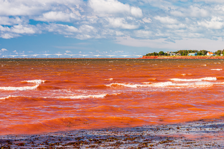 Maré Vermelha - O que é? O que causa esse fenômeno? (Imagem: Reprodução/SurferToday)
