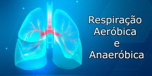 Respiração Aeróbica e Anaeróbica: quais as diferenças? (Imagem: Rawpixel.com/FreePik.com)
