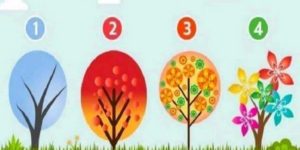 Teste das árvores escolha uma e a EMOÇÃO mais presente em você será revelada! (Imagem: Reprodução/Pinterest)