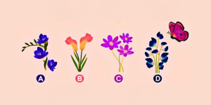 Teste de personalidade: em que flor a borboleta vai pousar? Responda e descubra sua forma de amar! (Imagem: Reprodução/Pinteret)