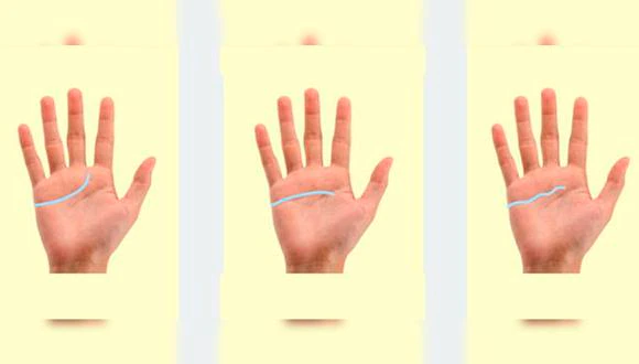 Teste: o formato da linha da sua mão revela um segredo sobre sua personalidade! (Imagem: Reprodução/Mdzol)