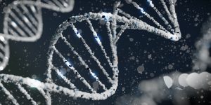 Genética Mendeliana como os genes determinam as características hereditárias